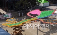 [포토]조계사에 핀 연꽃