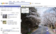 다음 "로드뷰로 벚꽃 길 구경하세요"