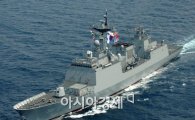 '한국인피랍 구출작전' 청해부대 배제