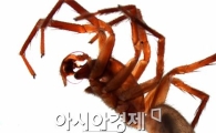 북한산에 얼마나 많은 생물들이 살까?