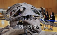 [포토] 거대한 공룡 화석 보려오세요~
