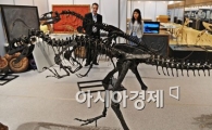 [포토] 공룡화석 보려 오세요~