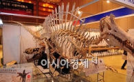 [포토] 진기한 공룡 화석 보세요~