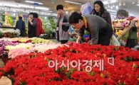 [포토]분주한 꽃시장