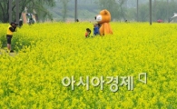 [포토] 도심속에서 즐기는 유채꽃 축제