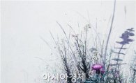 '꽃그림의 화가' 성숙온 개인전, 17일까지 단성갤러리