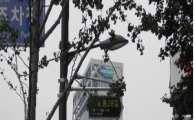 강남구, 지저분한 공중선 정비 