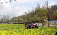 강동구, 유채씨로 달리는 자동차 타보는 체험농장 운영