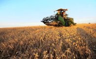 밀값 급등, 중동국 식량난 가중