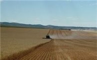 러시아 밀 수출 재개에도…밀값 이틀 연속 상승