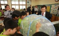 함평 나비 강북구 초등학교 찾다 