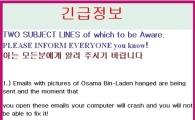 사용자 불안감 키우는 '가짜 바이러스' 정체는?