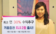 키움증권, 연 수익 최고 30% 등 ELS 2종 판매