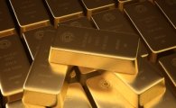 금 광산업체, ETF 투자자 탈환 위해 배당금 올려