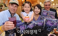 [포토]미국산 보다 30% 저렴한 칠레산 건블루베리