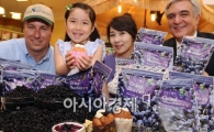 [포토]롯데마트, 칠레산 건블루베리 출시
