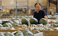 [포토] 비상걸린 과일 가격