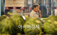 [포토] 비상걸린 과일 가격