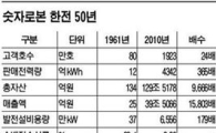 대한민국 경제 발전시킨 50년 '電說'
