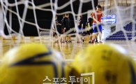 핸드볼협회, 2012 전국학교스포츠클럽 핸드볼대회 개최