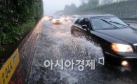 [포토]빗물 고인 경부고속도로