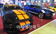[포토] 금방이라도 변신할것 같은 위용