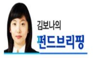 [김보나의 펀드브리핑]양날의 검 '레버리지 ETF' 투자법