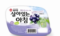 종가집, 아침식사용  두부 '살아있는 아침' 출시
