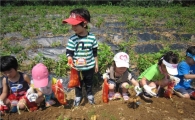 용산구, 감자캐기 체험으로 흙의 소중함 배우게 해 