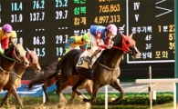 [주말레이싱] 마권도 '로또처럼' 자동선택 도입