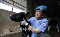 동명부대의 한류바람