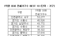 1억이하 전세, 30개월만에 33만가구 줄었다
