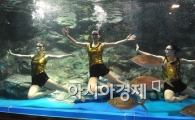 [포토] 신나는 아쿠아 댄스