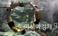 [포토] 신나는 수중 댄스 파티