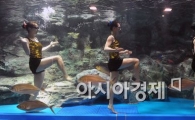 [포토] 미녀들의 수중 댄싱