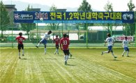 전국 1·2학년 대학축구대회 개막 