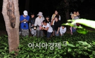 [포토]일자산에서 밤을 즐기자!