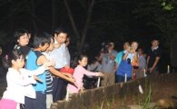 도봉구, 초안산근린공원 반딧불이 생태공간 조성
