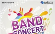 강남구, 한여름밤 밴드 콘서트 열어 