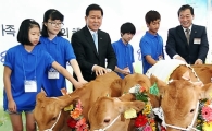 농협, 다문화가정에 송아지 100마리 전달