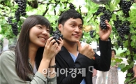 [포토] 생활의 발견 송준근-신보라 '8월 8일은 포도데이!'