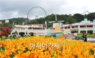 [포토]에버랜드 포시즌스 가든 백합 만발