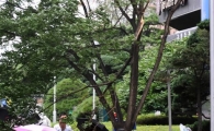 [포토]비바람을 헤치고