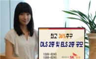 SK증권, 최고 36%추구 DLS 2종 및 ELS 2종 공모