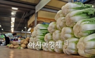 [포토]배추값·무값 또 다시 비상!