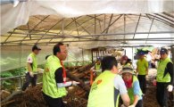 전북銀 지역사랑봉사단, 수해 복구작업 지원