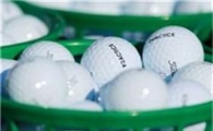 골프볼은 "습기를 싫어해~"