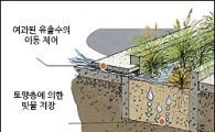 도심속 홍수예방 '빗물정원'