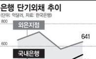 2분기 단기외채, 국내은행 늘고 외은지점은 감소