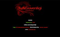 터키 해커그룹, UPS·보다폰 홈페이지 공격해